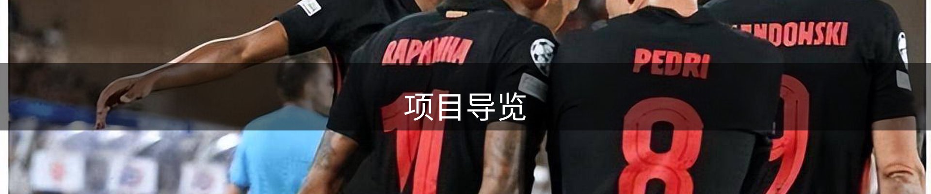 项目导览